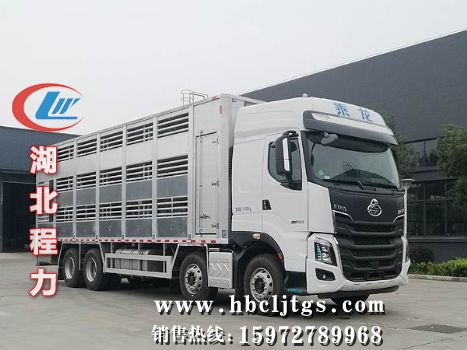 CLW5310CCQLDP䳵ͼƬ